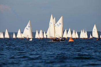 Regatta